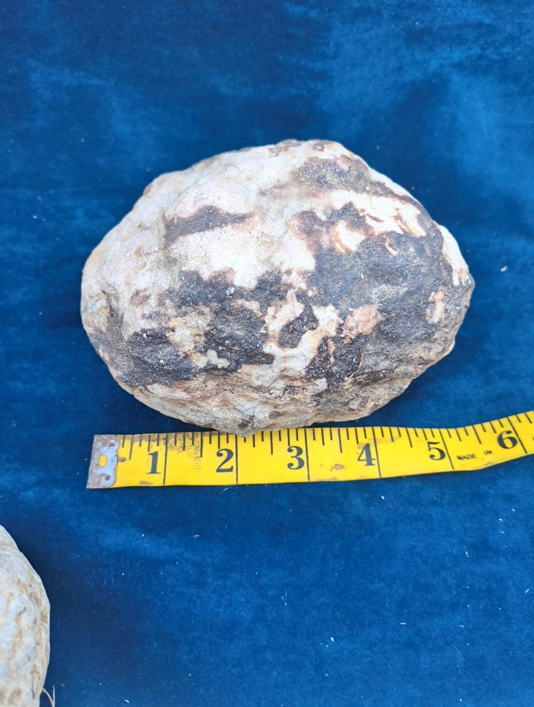 2+ lb Large Unopened Kentucky Geode, 3-5 Inch, Break Your Own Quartz Crystal – Fishing Creek, KY