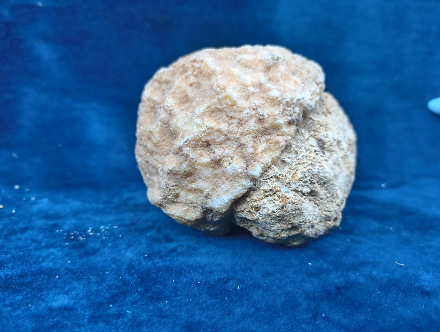 2+ lb Large Unopened Kentucky Geode, 3-5 Inch, Break Your Own Quartz Crystal – Fishing Creek, KY