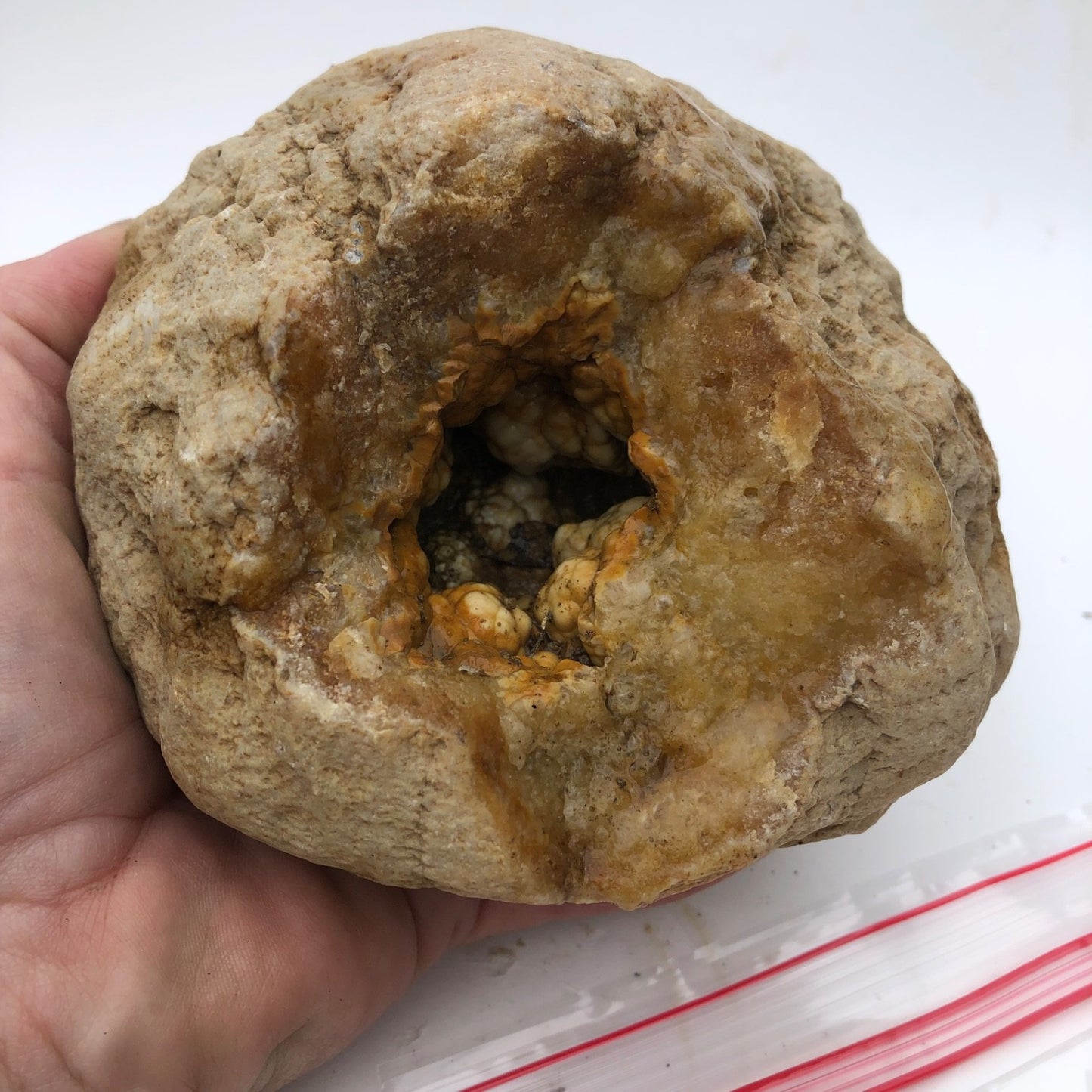 3.68 lb Open Face Kentucky Geode, Chalcedony Botryoidal Quartz, Exact Specimen – Fishing Creek, KY