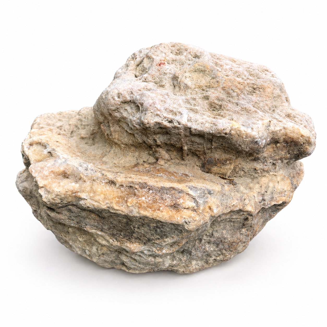 28.4 lb Large Natural Kentucky Geode, Whole Unopened Display Specimen – Fishing Creek, KY