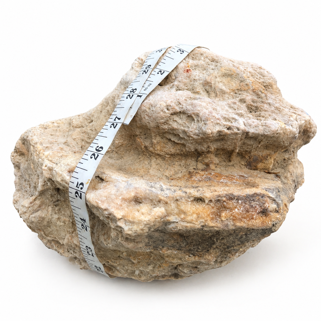 28.4 lb Large Natural Kentucky Geode, Whole Unopened Display Specimen – Fishing Creek, KY