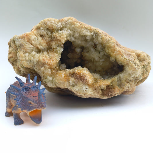 Open Face Kentucky Geode 6.16 lb Druzy Crystal Cavity