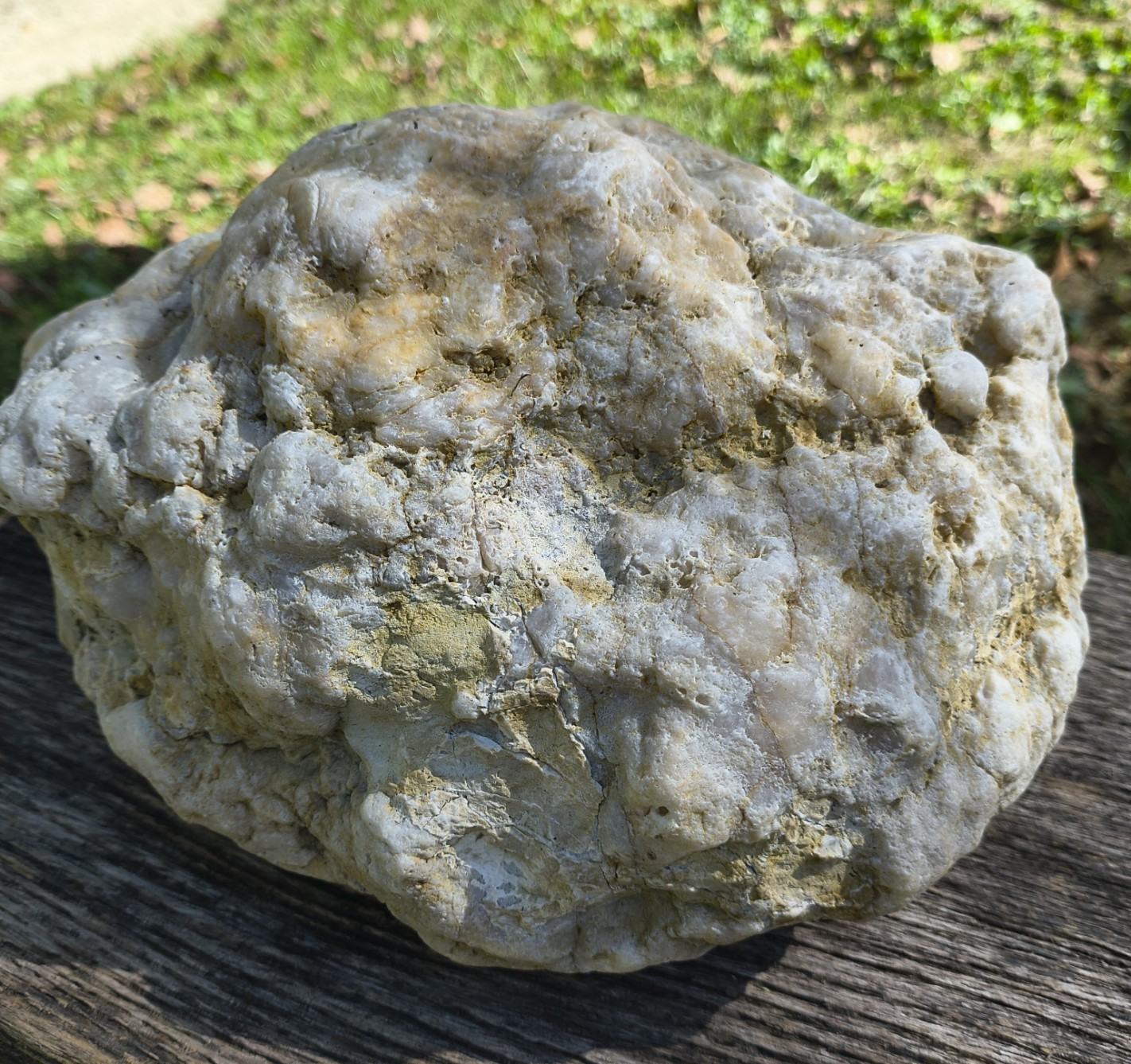 Exact Kentucky Geode, 23.6lb Natural Quartz Crystal Specimen – Fishing Creek, KY