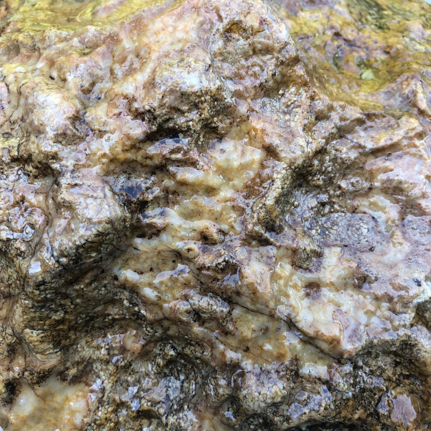 Large Kentucky Geode, 11.20 lb Unopened Natural Crystal Geode, Exact 9 Inch Specimen – Fishing Creek, KY