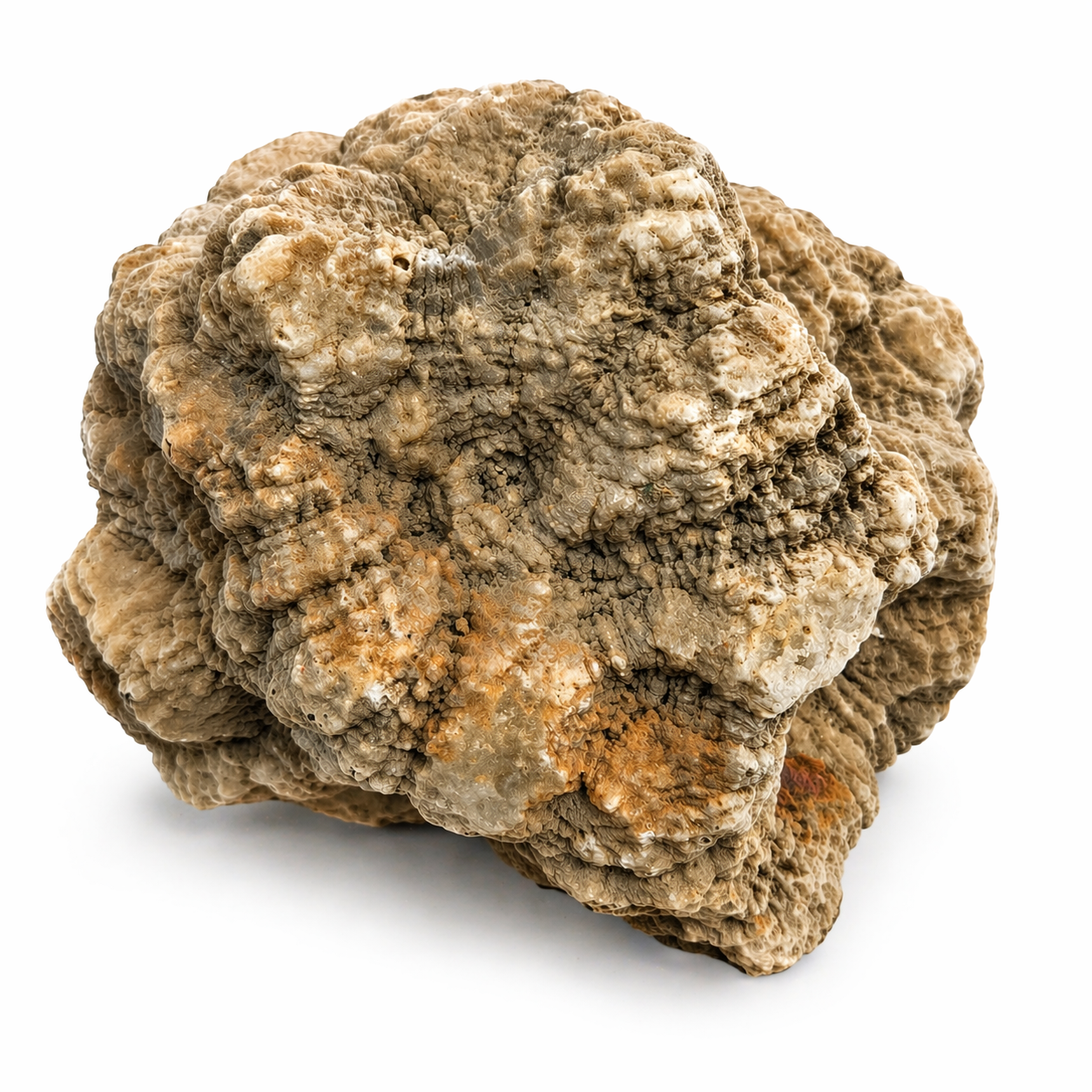 Large 11.32 lb Natural Kentucky Mineral Specimen, Display Rock – Fishing Creek, KY