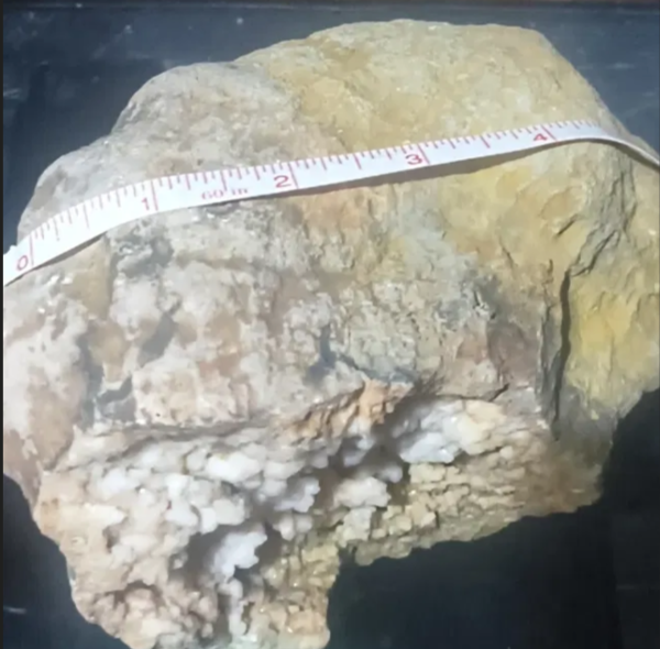 3lb 8oz Natural Kentucky Geode, Crystal Lined Open Pocket Display Specimen, Calcite – Fishing Creek, KY