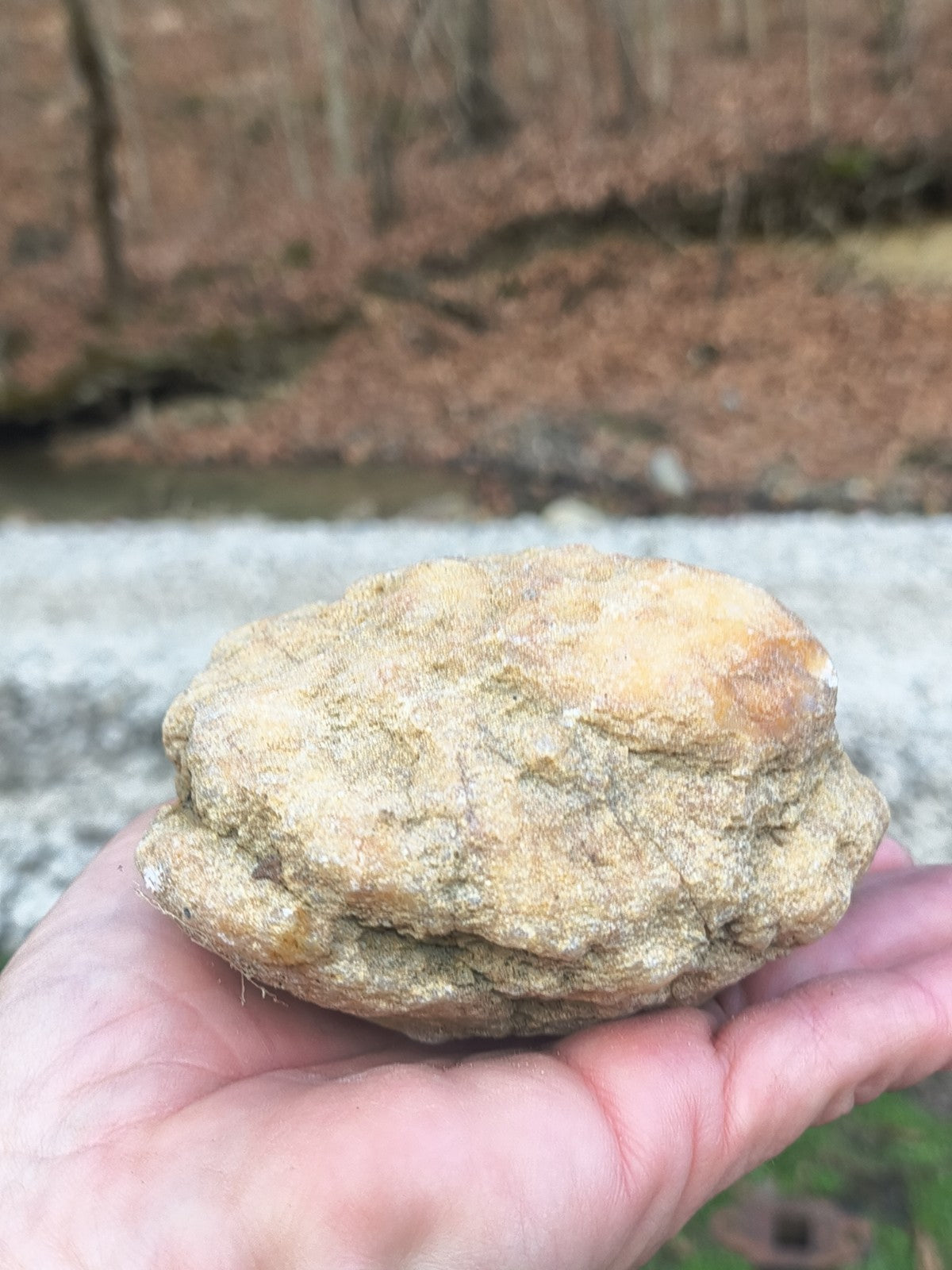 Kentucky Geode Kit for Kids, 1.5-10 lb Lot, Unopened, Break Your Own Quartz Crystals – Hand-Collected at Fishing Creek, KY