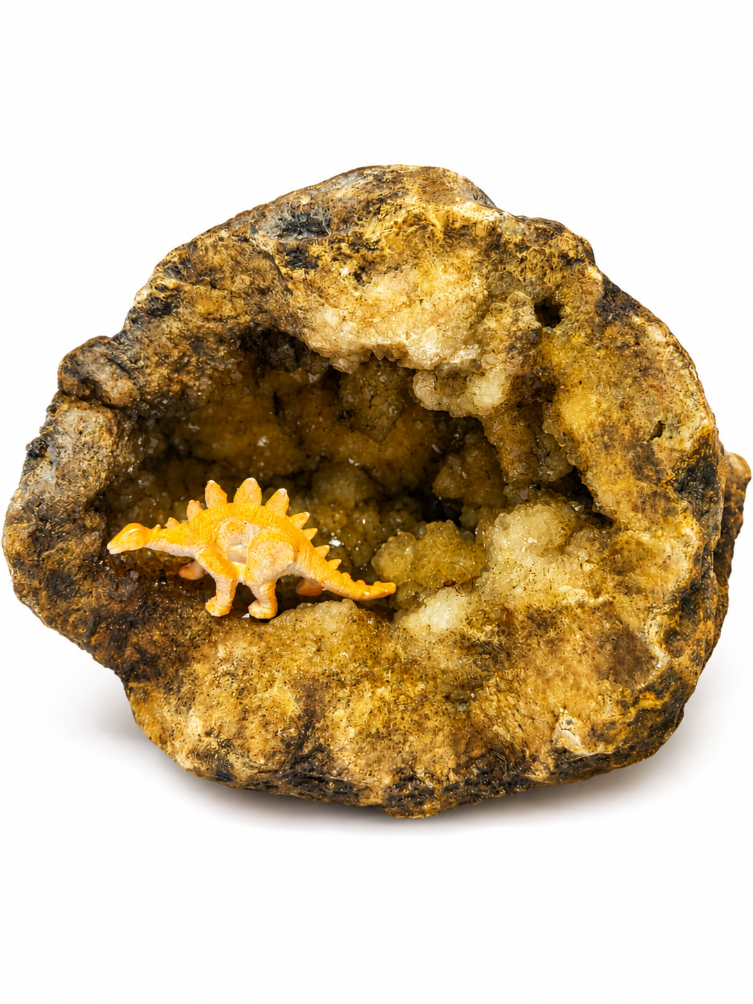 5 lb 3 oz Open KY Geode, Golden Crystal Cavity, Large Display Specimen, Collectible – Fishing Creek, KY