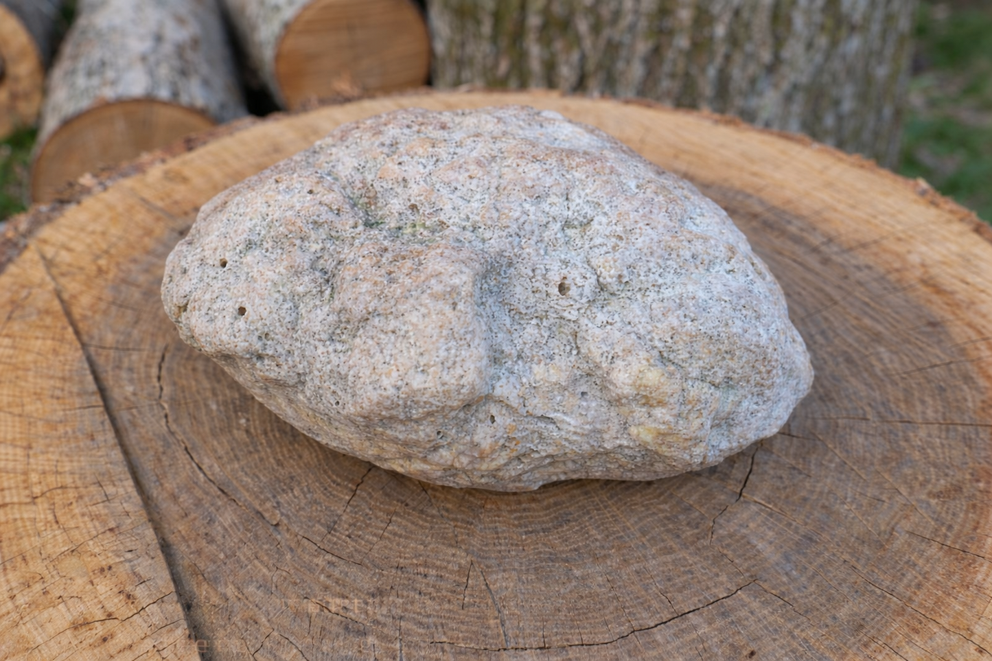 Exact Kentucky Rattler Geode, 4.09 lb Natural Unopened Crystal Geode – Fishing Creek, KY