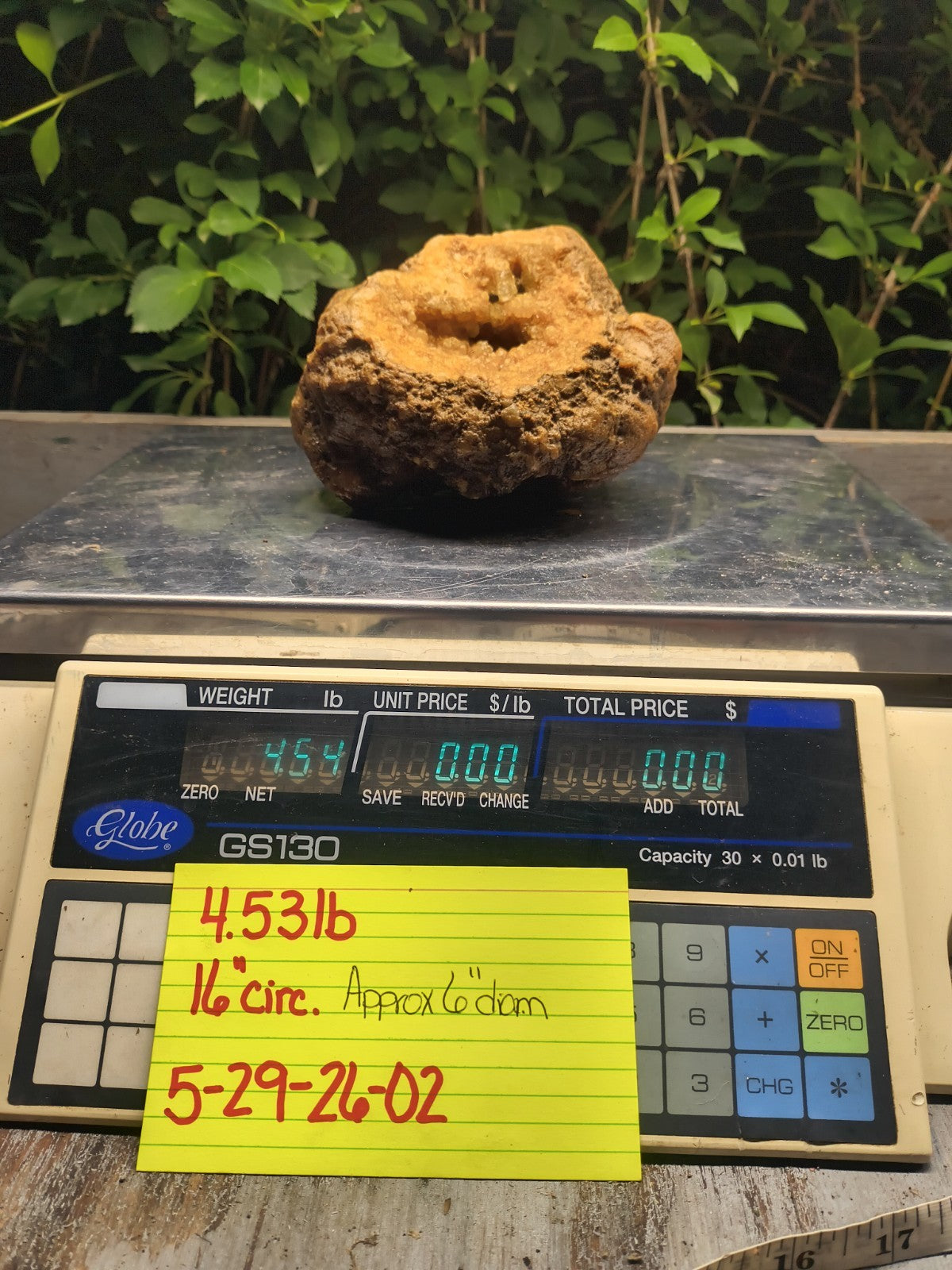 Kentucky Crystal Geode, Natural Druzy Quartz Geode, 4.53 lb Educational Specimen – Fishing Creek, KY