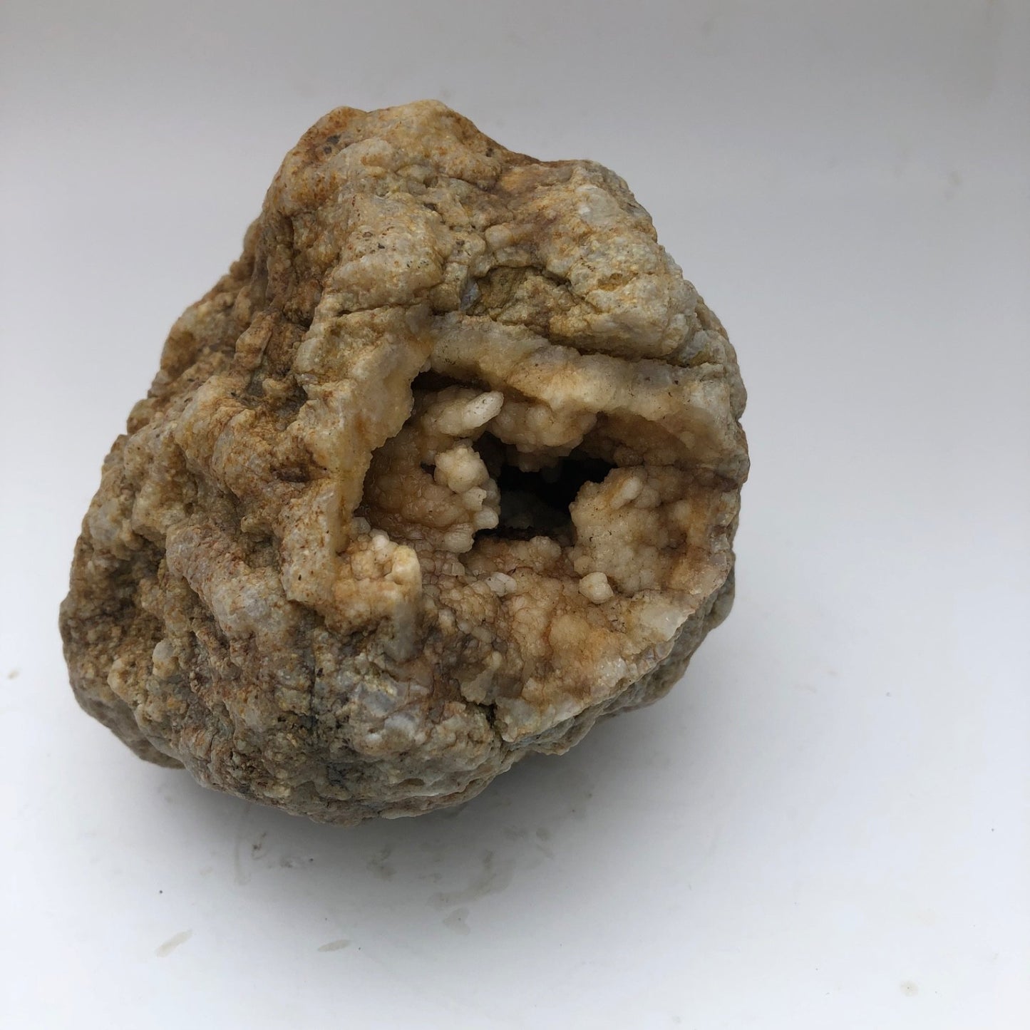 2.5 lb Kentucky Geode Rattler, Whole Natural Crystal Specimen, 5 Inch – Fishing Creek, KY