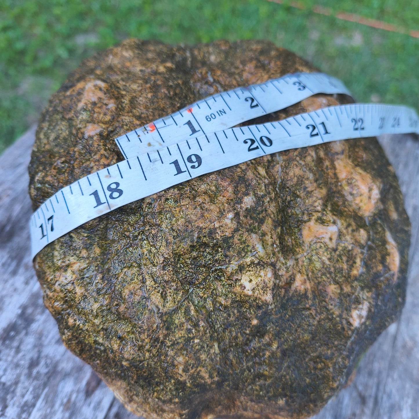 9.22 lb Kentucky Geode, Unopened Natural Crystal Geode + Bonus – Fishing Creek, KY