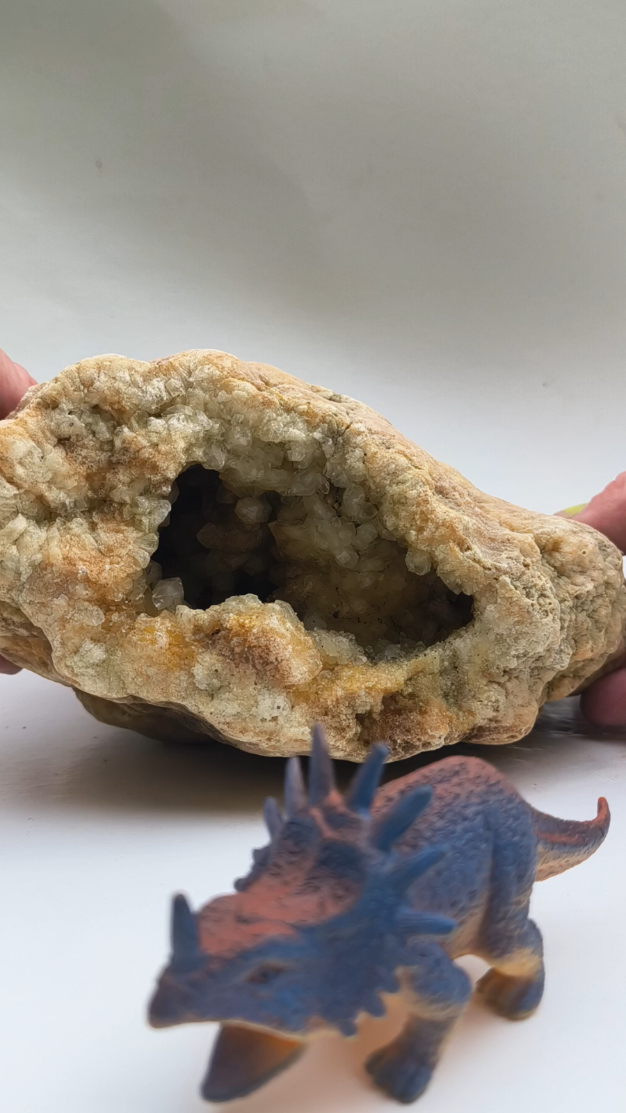 Open Face Kentucky Geode 6.16 lb Druzy Crystal Cavity