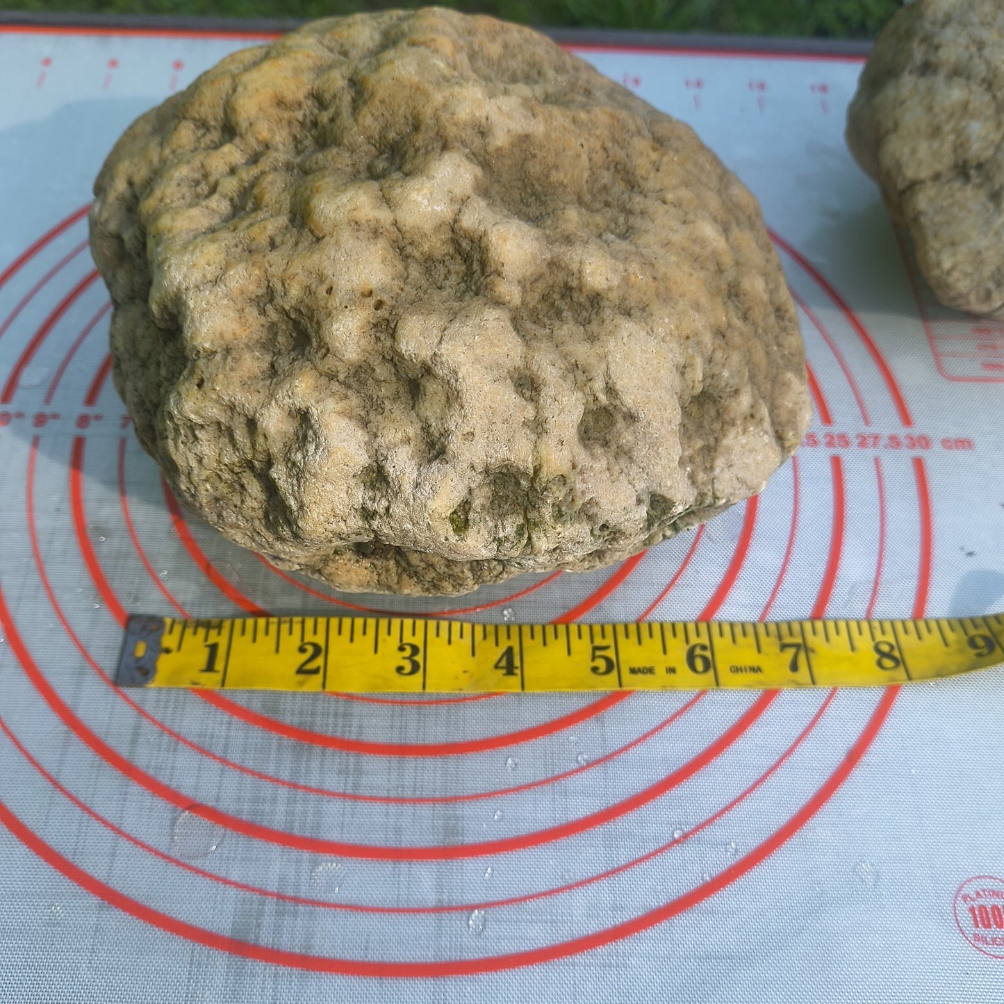 9.25 lb Unopened Large Geode Nodule, Natural Kentucky Crystal Quartz, Uncut – Fishing Creek, KY