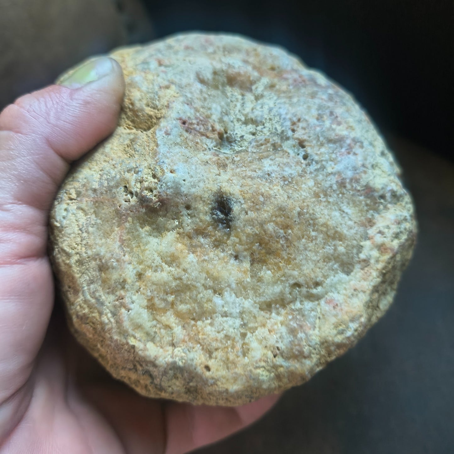 3.25 lb Kentucky Geode, Unopened Exact Specimen, Natural Whole Geode – Fishing Creek, KY