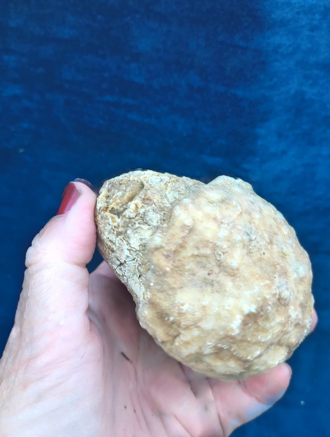2+ lb Large Unopened Kentucky Geode, 3-5 Inch, Break Your Own Quartz Crystal – Fishing Creek, KY