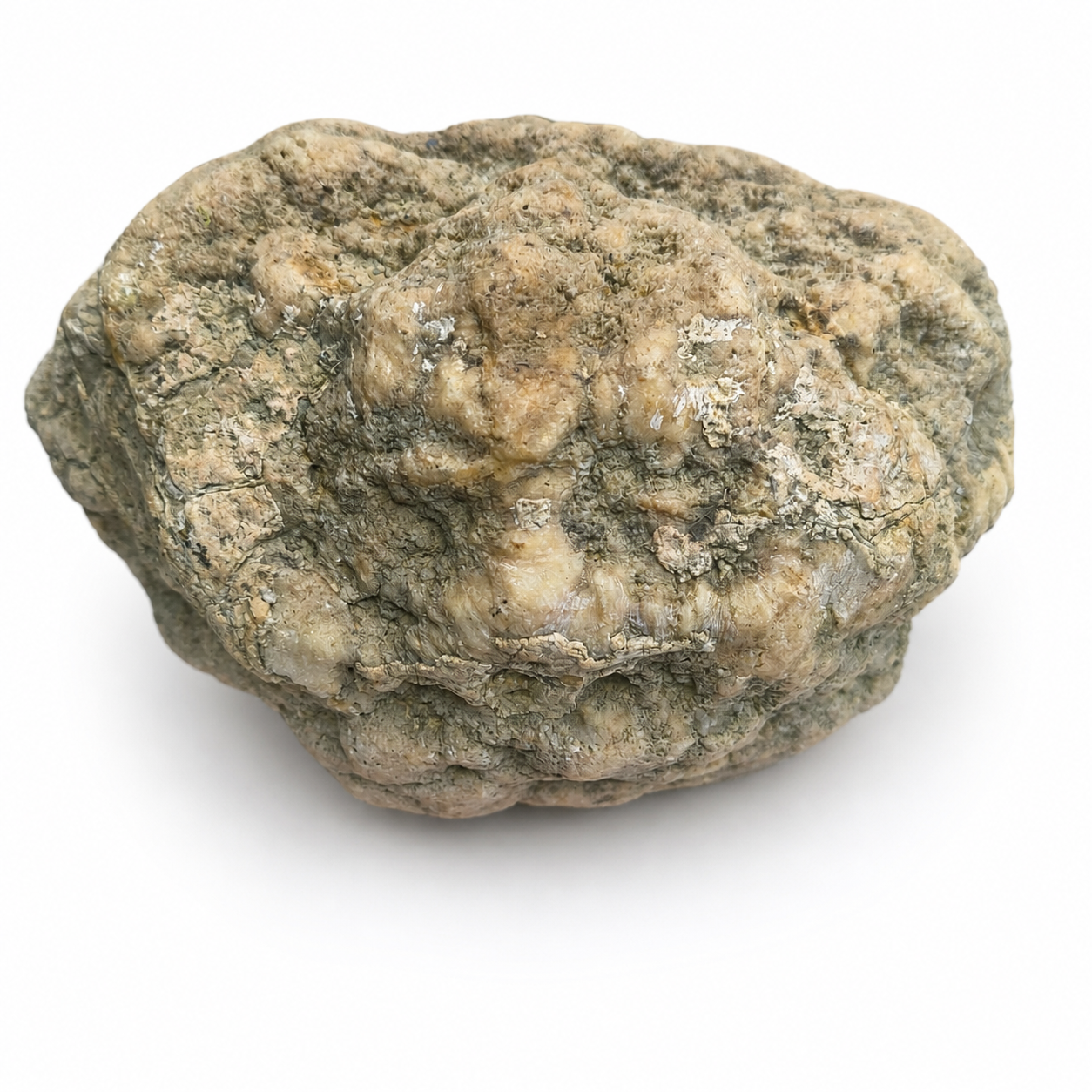Kentucky Geode, Unopened Natural Quartz Crystal, Crack Your Own, 11.71 lb – Fishing Creek, KY