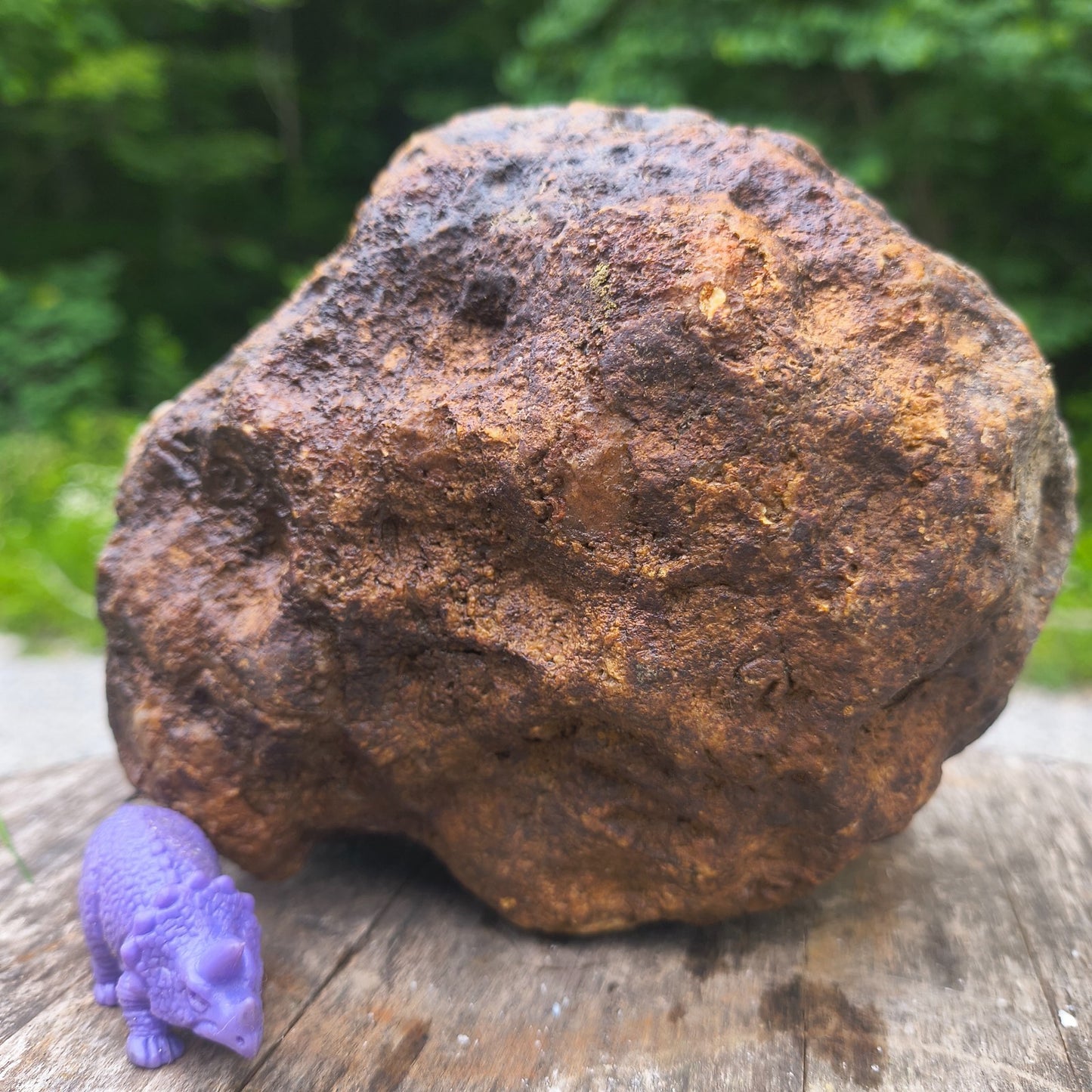 Unopened Kentucky Geode — 5.40 lb, 16" Circ, Bonus Mineral ID Card Included