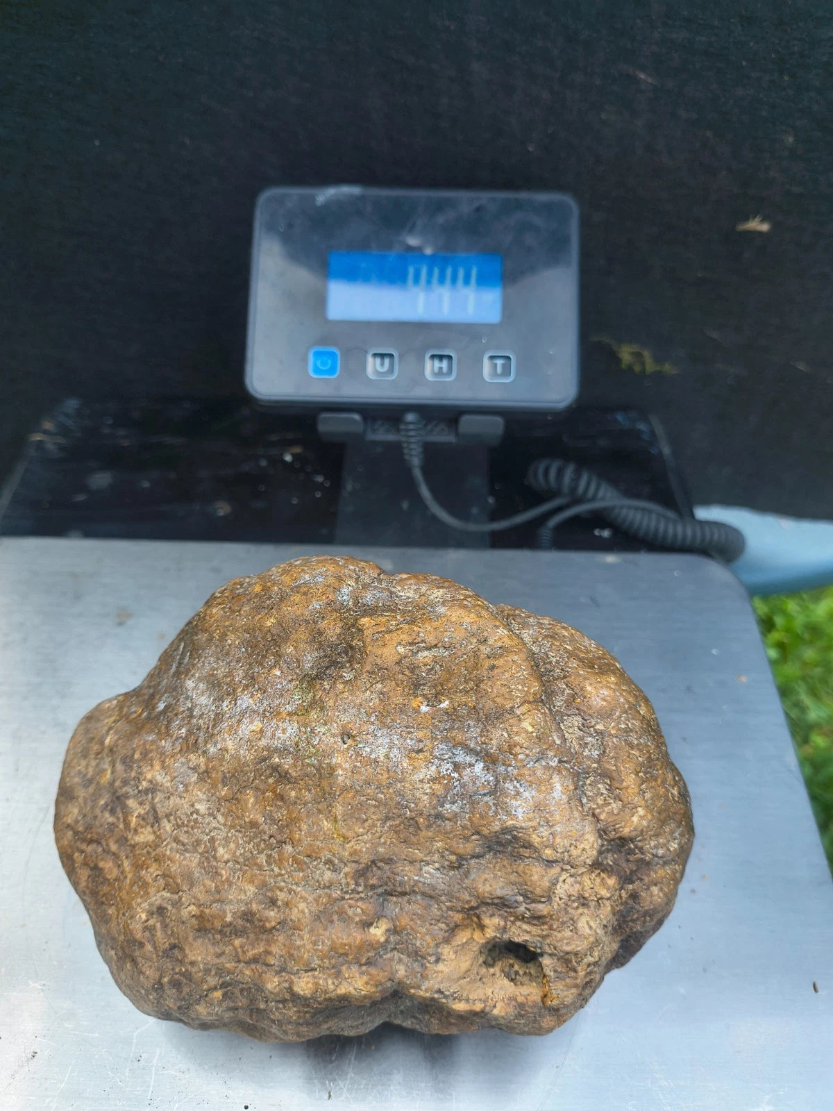 4.44 lb Kentucky geode - photo 2