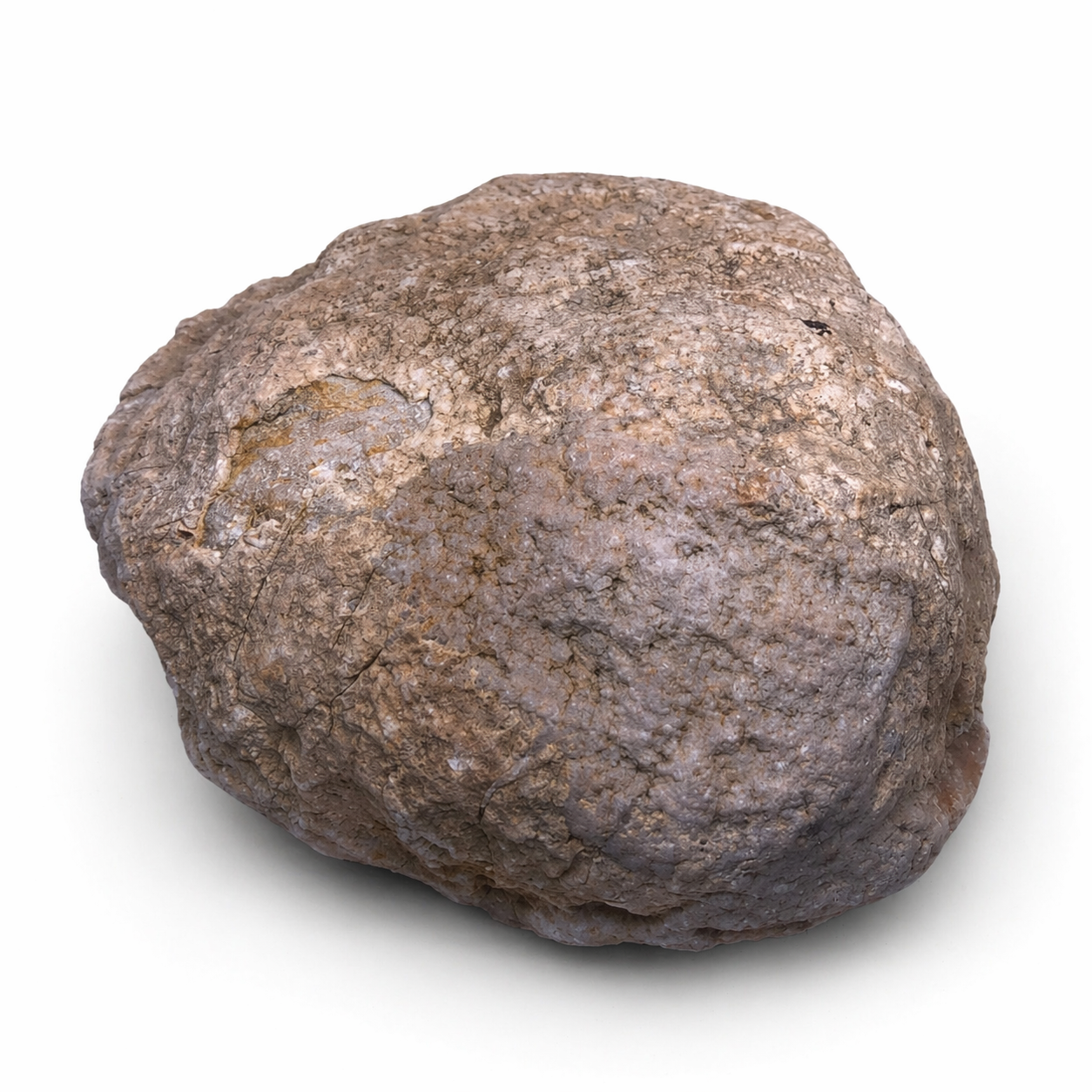 4.12 lb Kentucky Rattler Geode, Whole Unopened Exact Item, Natural Uncut – Fishing Creek, KY