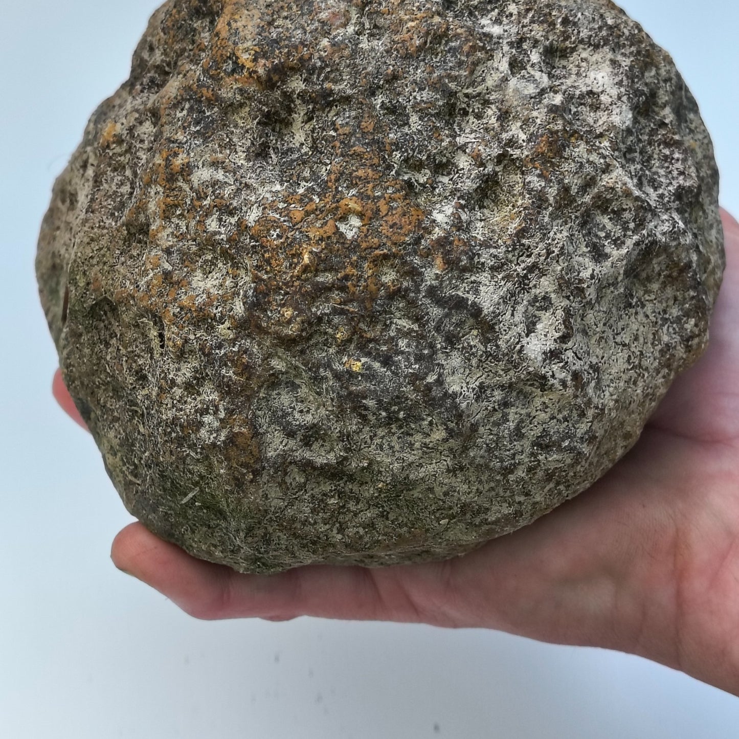 Kentucky Geode, Unopened Natural Quartz Crystal, Crack Your Own, 4lb – Fishing Creek, KY