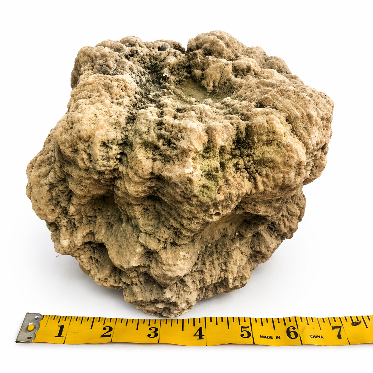 Large 11.32 lb Natural Kentucky Mineral Specimen, Display Rock – Fishing Creek, KY