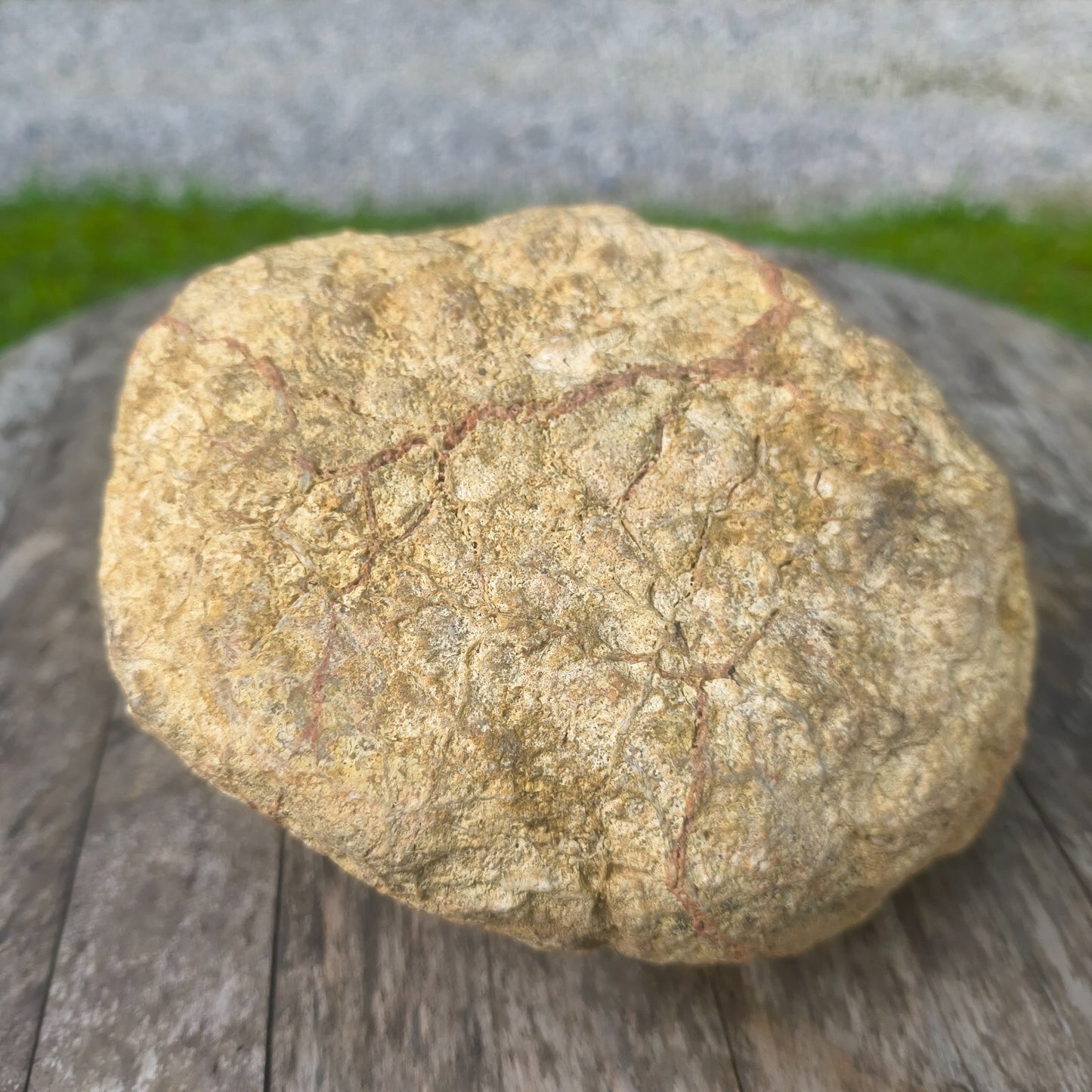 3.25 lb Kentucky Geode, Unopened Exact Specimen, Natural Whole Geode – Fishing Creek, KY