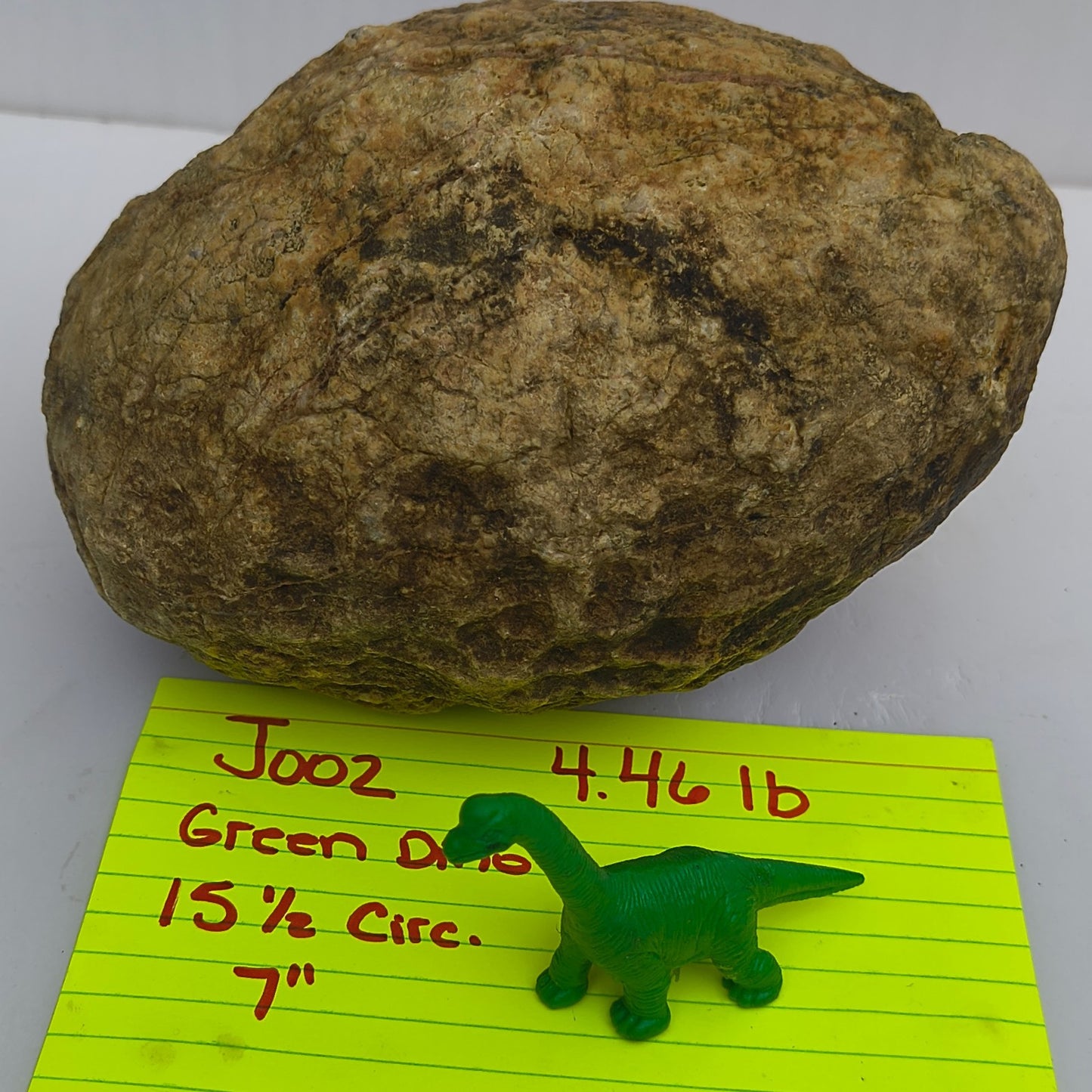 4.44 lb Kentucky Geode, Unopened Exact Specimen, Natural Whole Geode – Fishing Creek, KY