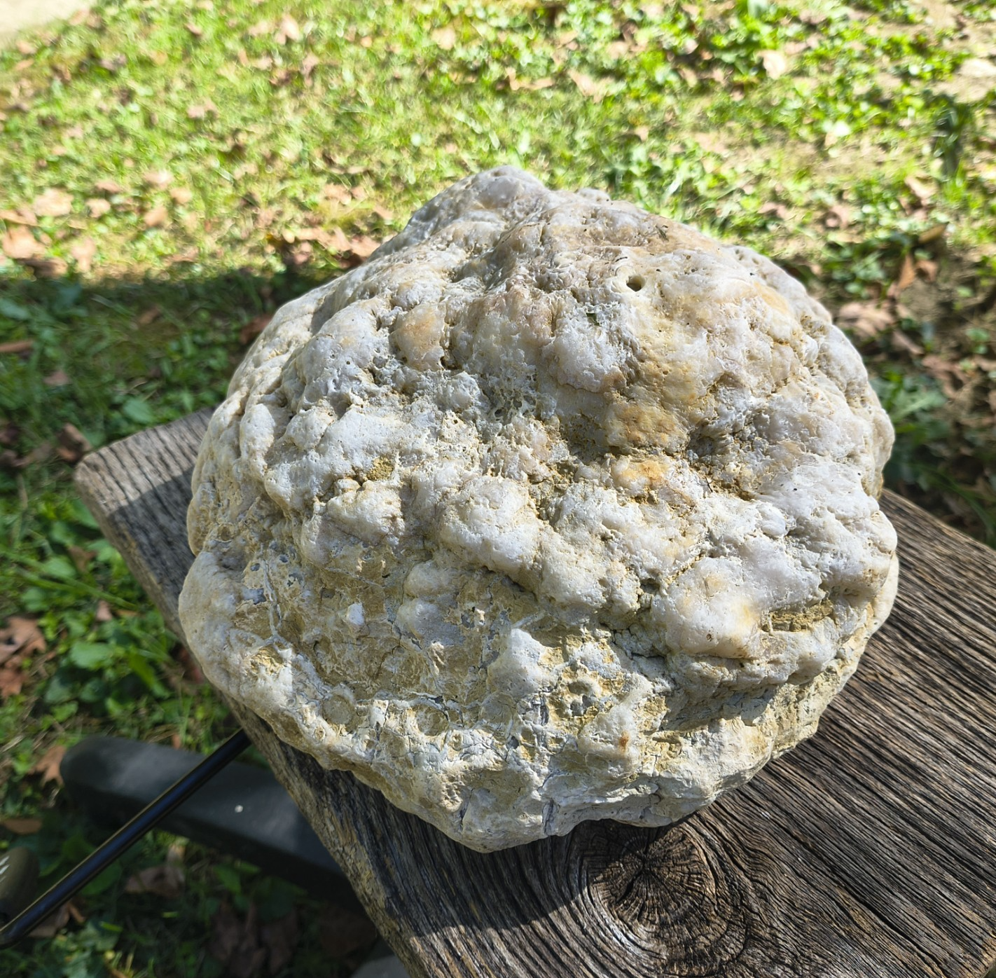 Exact Kentucky Geode, 23.6lb Natural Quartz Crystal Specimen – Fishing Creek, KY