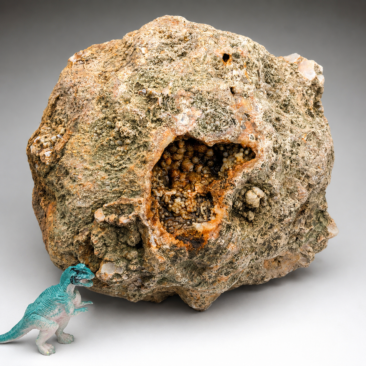 8.22 lb Unopened Kentucky Geode Rattler, Break Your Own, Hand Picked KY, 7 Inch – Fishing Creek, KY