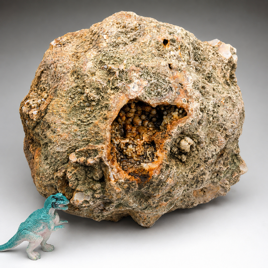 8.22 lb Unopened Kentucky Geode Rattler, Break Your Own, Hand Picked KY, 7 Inch – Fishing Creek, KY