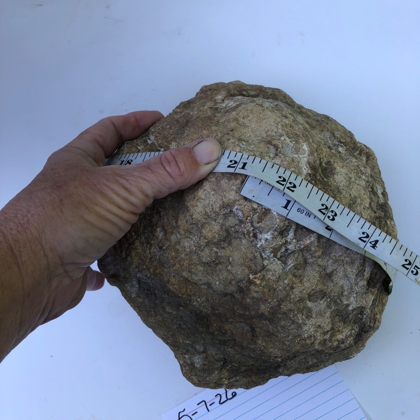 Large Kentucky Geode, 11.20 lb Unopened Natural Crystal Geode, Exact 9 Inch Specimen – Fishing Creek, KY