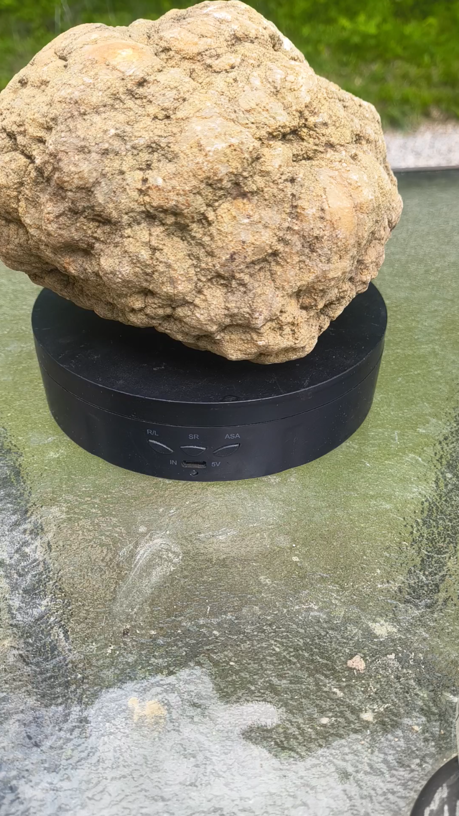 Kentucky Geode, 6.01 lb Whole Unopened Natural Quartz Crystal Rock, 6 Inch – Fishing Creek, KY