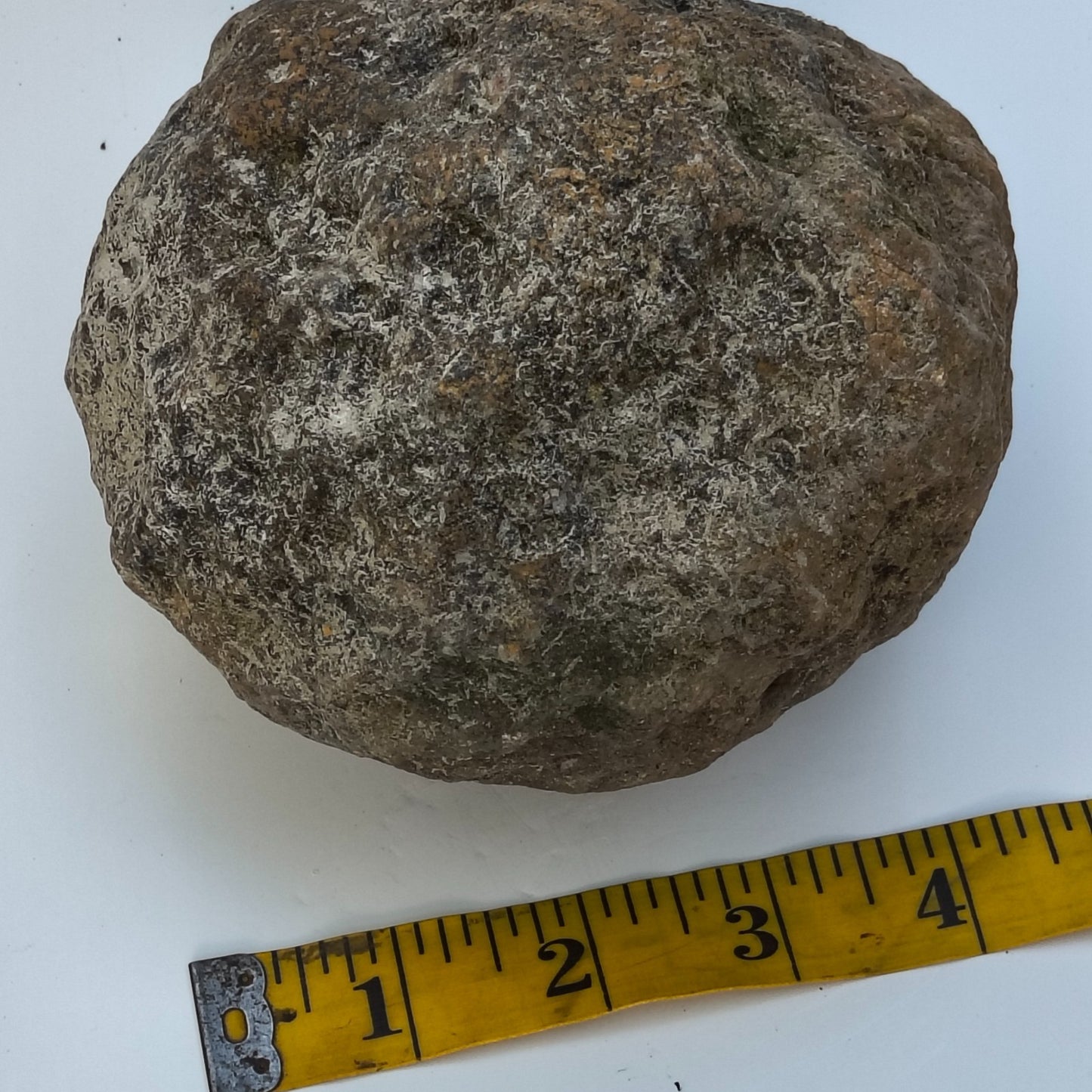 Kentucky Geode, Unopened Natural Quartz Crystal, Crack Your Own, 4lb – Fishing Creek, KY