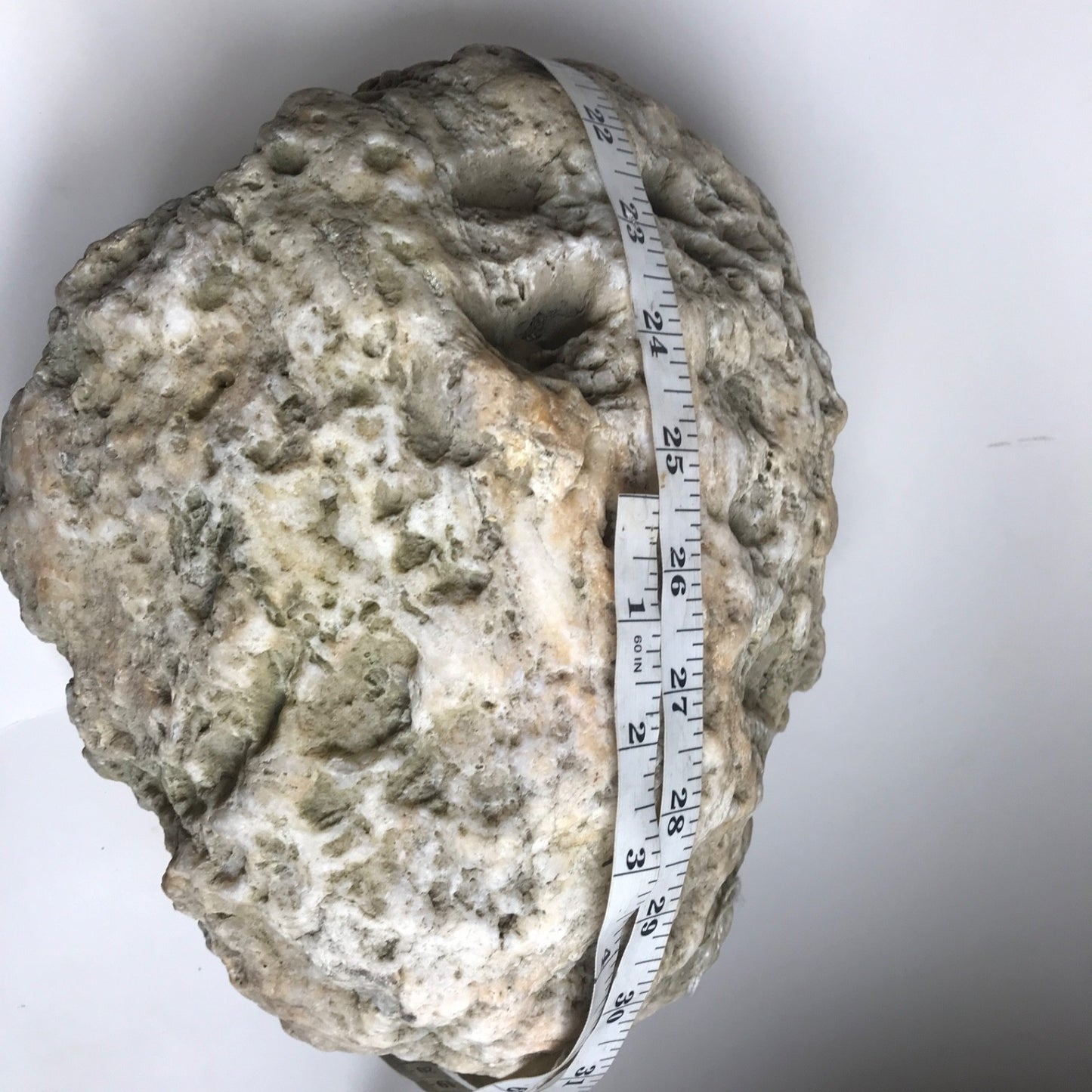 20 lb Kentucky Geode, Exact Unopened Natural Quartz Crystal, Crack Your Own – Fishing Creek, KY