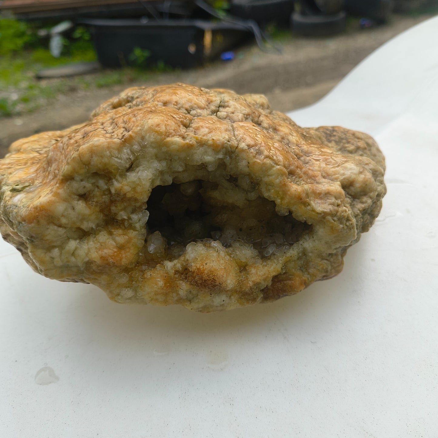Open Face Kentucky Geode 6.16 lb Druzy Crystal Cavity