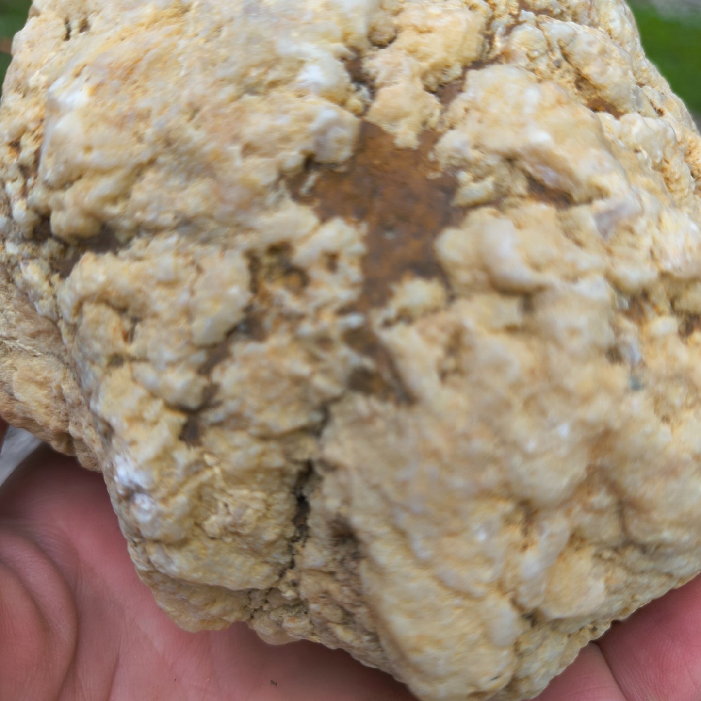 3.67 lb Natural Kentucky Geode, Unopened Whole Exact Specimen, 14 Inch Circ, Bonus – Fishing Creek, KY