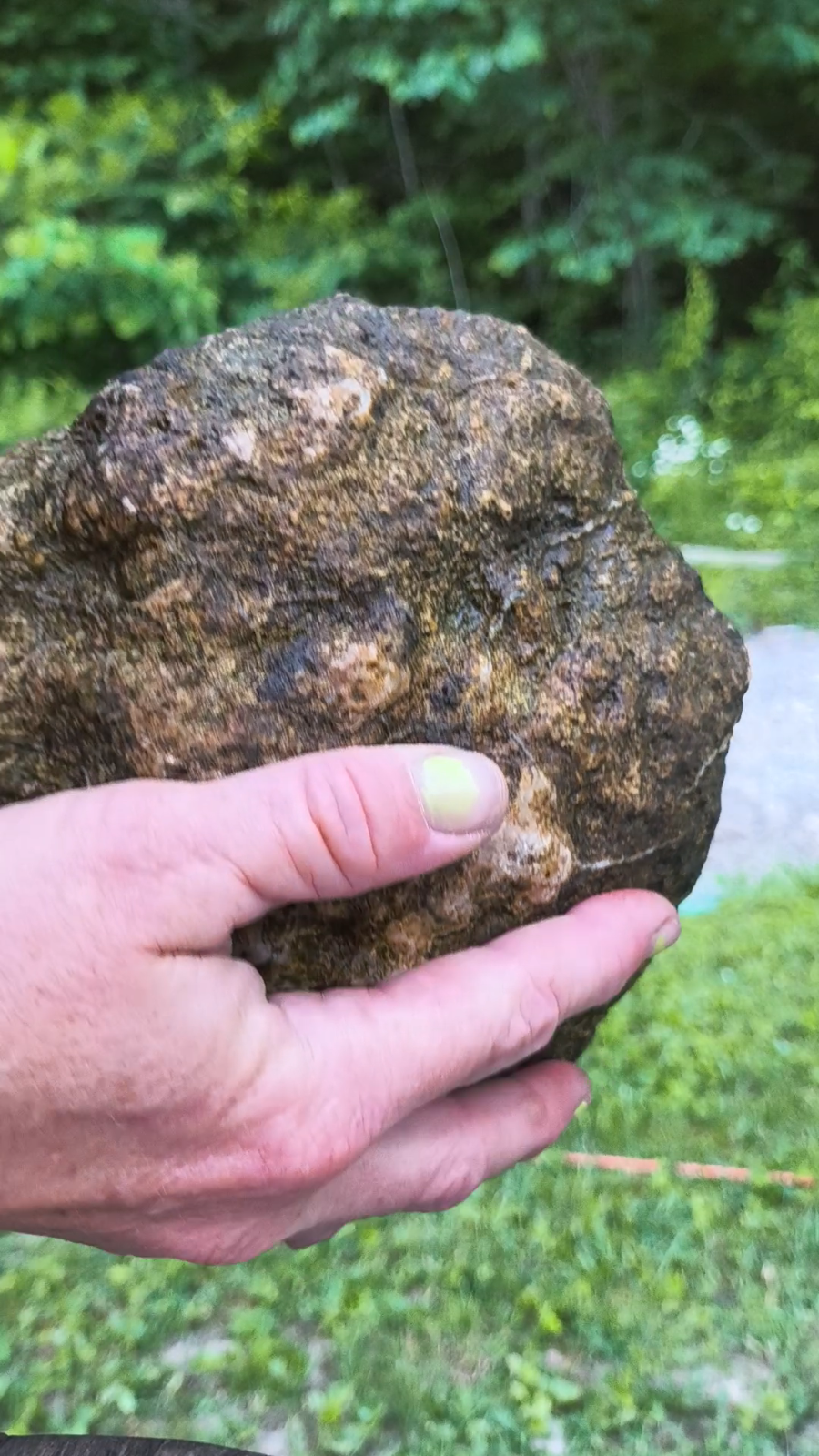 9.22 lb Kentucky Geode, Unopened Natural Crystal Geode + Bonus – Fishing Creek, KY