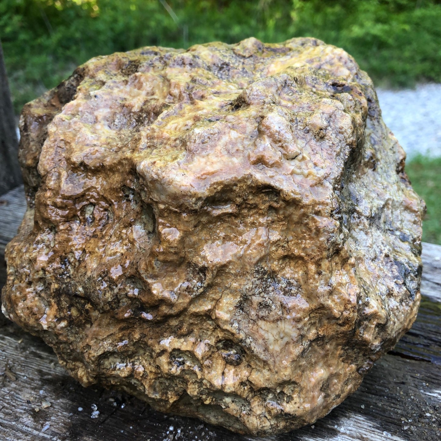 Large Kentucky Geode, 11.20 lb Unopened Natural Crystal Geode, Exact 9 Inch Specimen – Fishing Creek, KY