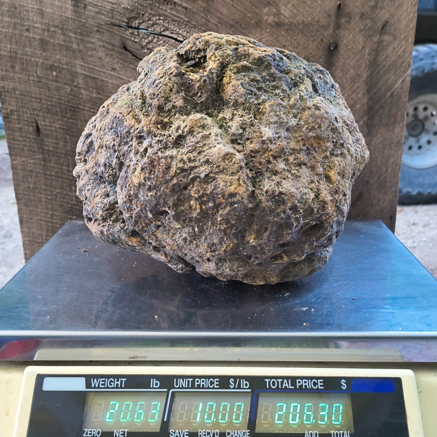 20.6 lb Unopened Kentucky Geode, Break Your Own Large Quartz Crystal, Hand Picked – Fishing Creek, KY