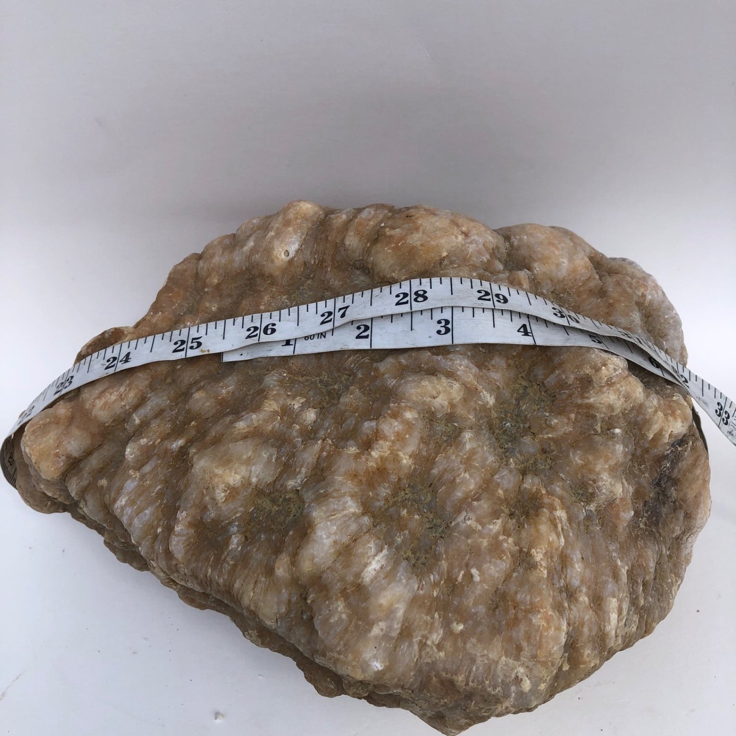 18.44 lb Kentucky Thunder Egg Geode, Lincoln County, Nodular Chalcedony, Uncut – Fishing Creek, KY