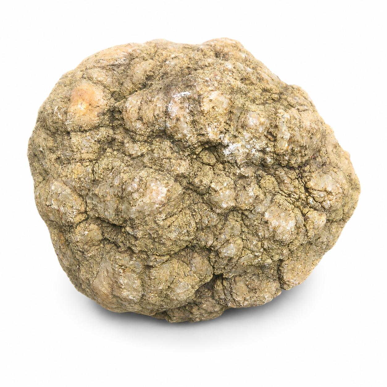 Kentucky Geode, 6.01 lb Whole Unopened Natural Quartz Crystal Rock, 6 Inch – Fishing Creek, KY