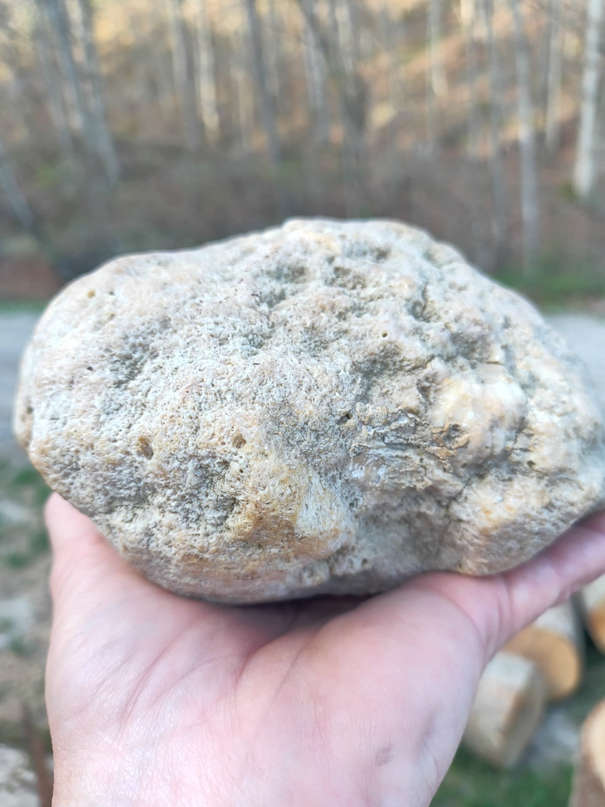 Exact Kentucky Rattler Geode, 4.09 lb Natural Unopened Crystal Geode – Fishing Creek, KY