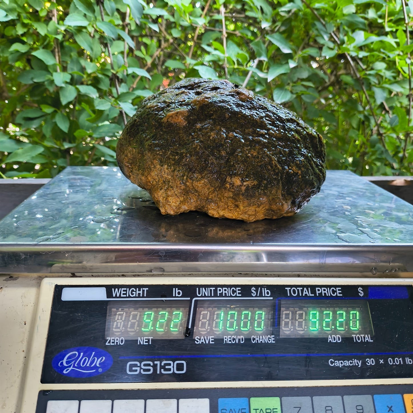 9.22 lb Kentucky Geode, Unopened Natural Crystal Geode + Bonus – Fishing Creek, KY