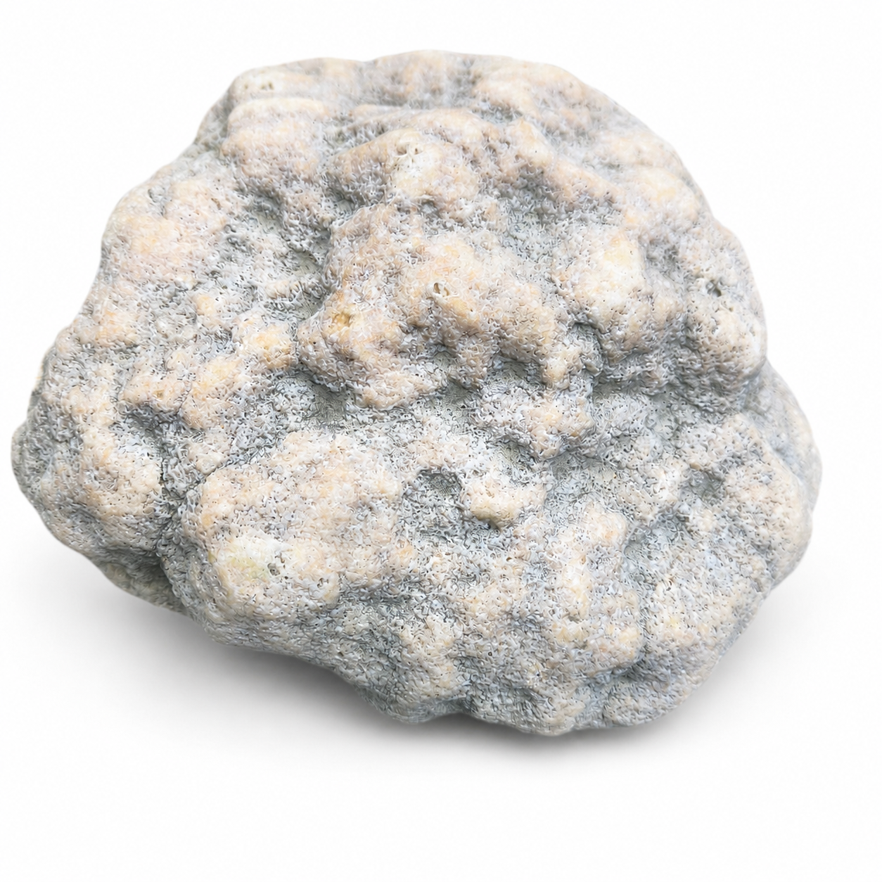 Kentucky Geode, Unopened Natural Quartz Crystal, Crack Your Own, 11.71 lb – Fishing Creek, KY