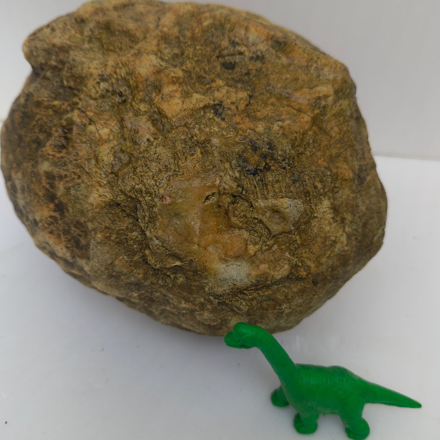 4.44 lb Kentucky Geode, Unopened Exact Specimen, Natural Whole Geode – Fishing Creek, KY