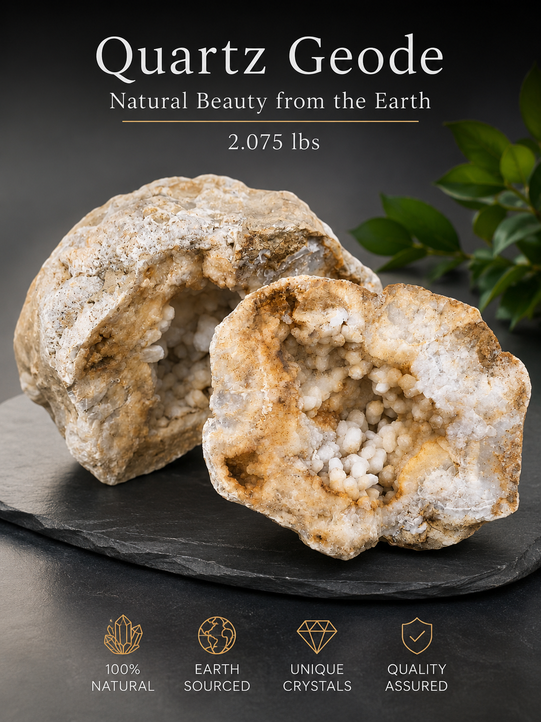 2.07 lb Natural Kentucky Crystal Lined, Open Botryoidal Calcite Display – Fishing Creek, KY