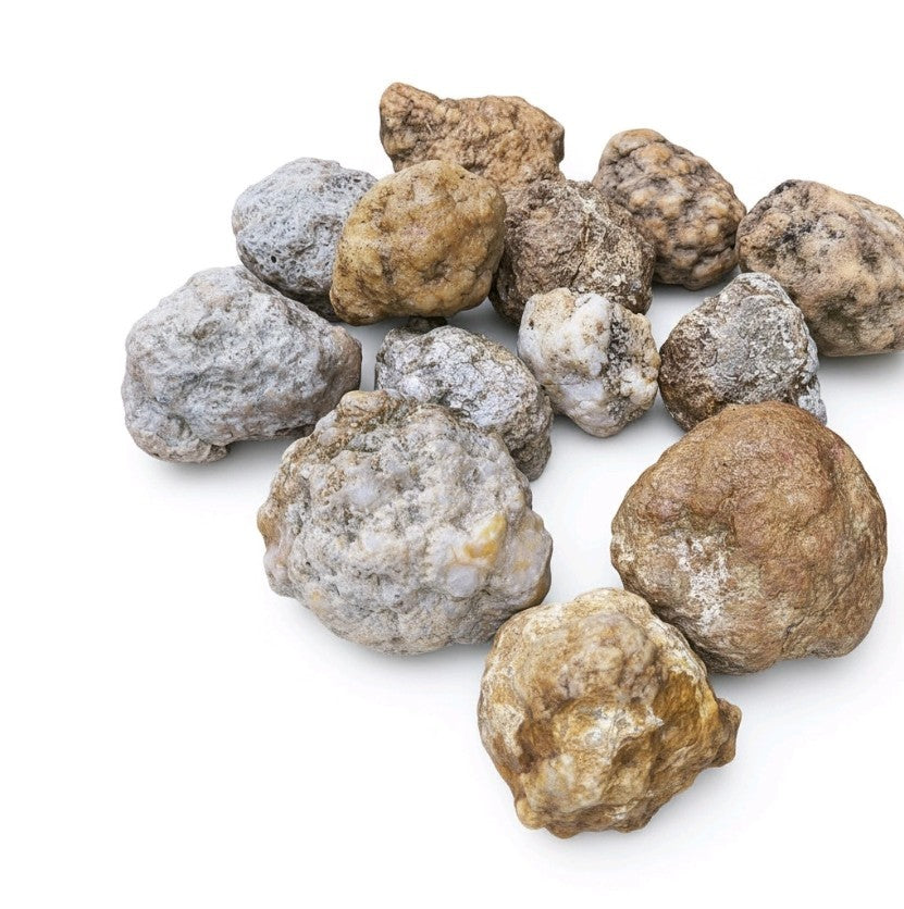 10 lb Lot Unopened Kentucky Geodes, Break Your Own, Hand Picked KY Natural Quartz – Fishing Creek, KY