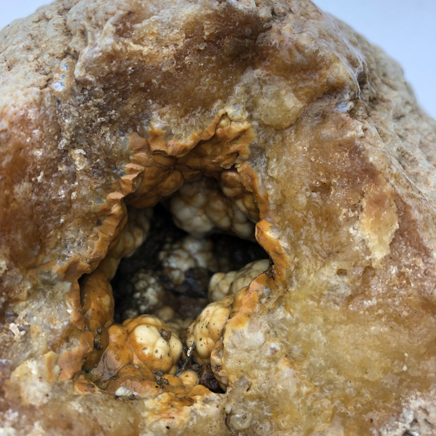 3.68 lb Open Face Kentucky Geode, Chalcedony Botryoidal Quartz, Exact Specimen – Fishing Creek, KY
