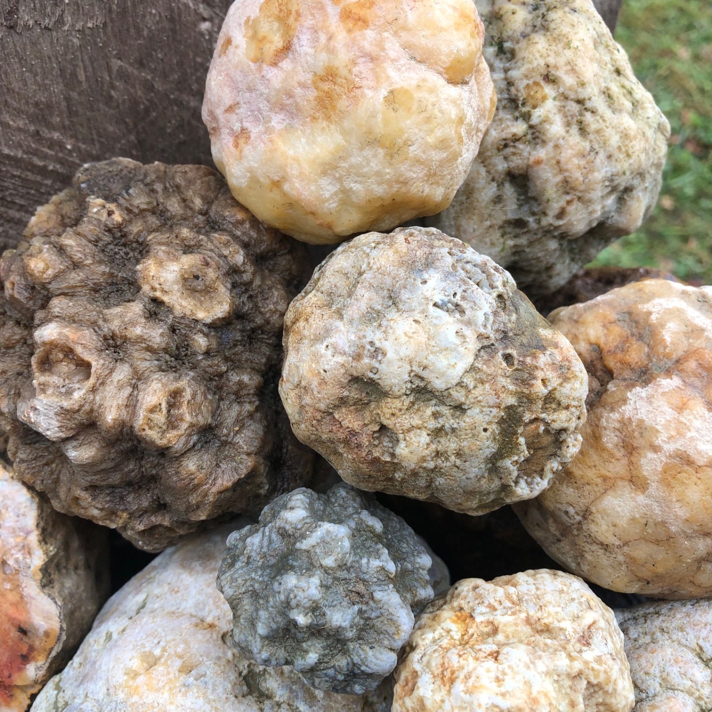 Kentucky Geode Kit for Kids, 1.5-10 lb Lot, Unopened, Break Your Own Quartz Crystals – Hand-Collected at Fishing Creek, KY